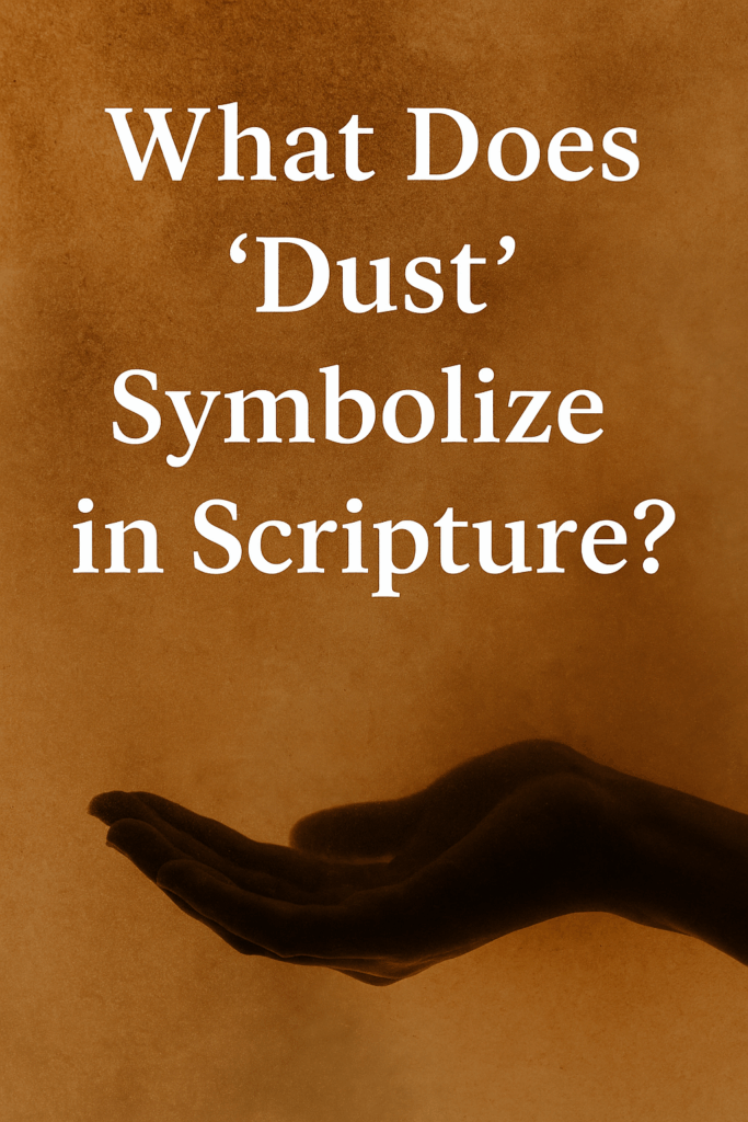 ChatGPT Image 2025년 11월 12일 오전 09_54_08